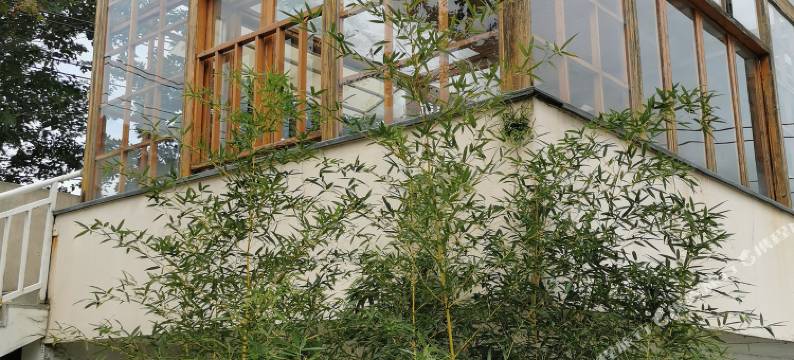 三涧水舍私汤民宿(南京汤山店)图片