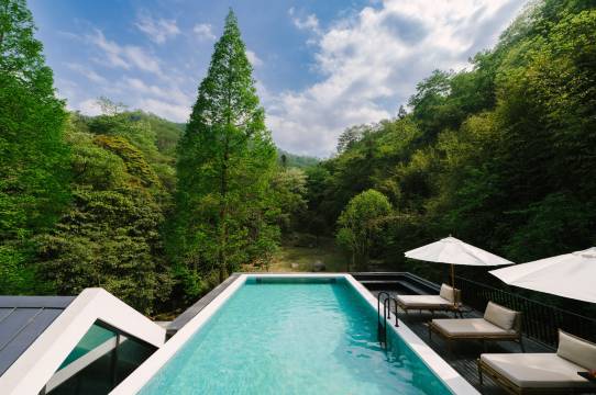 青城山栗下安隐.森林私汤民宿图片