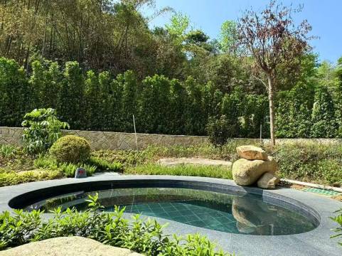 蓝钟森林温泉度假酒店图片