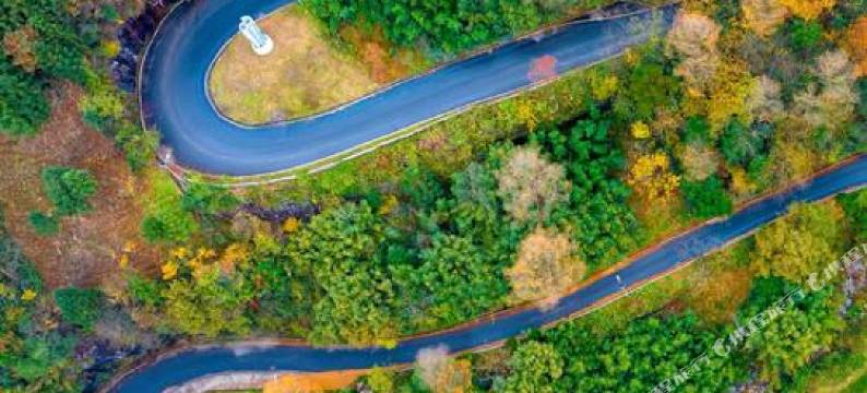 日落而归民宿(安吉浙江自然博物院店)图片