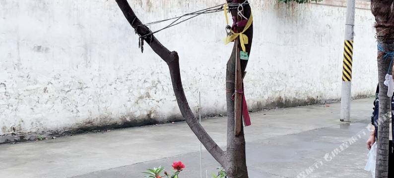 洪湖圆梦旅社图片