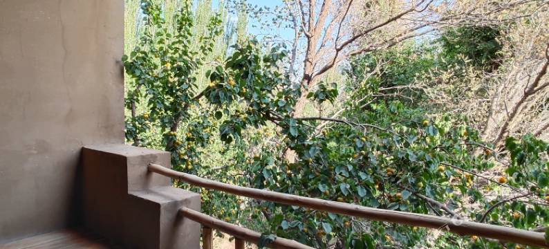 敦煌锦舍年华客栈图片