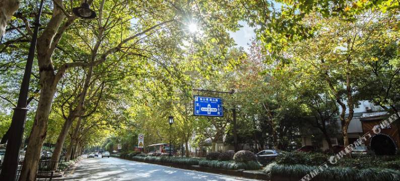 杭州曙光路 · 近西湖景区曲院风荷/植物园/黄龙体育中心公寓图片