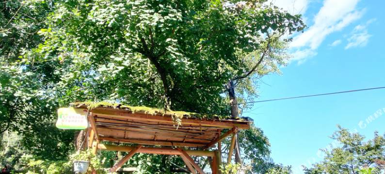 天台山李家院图片