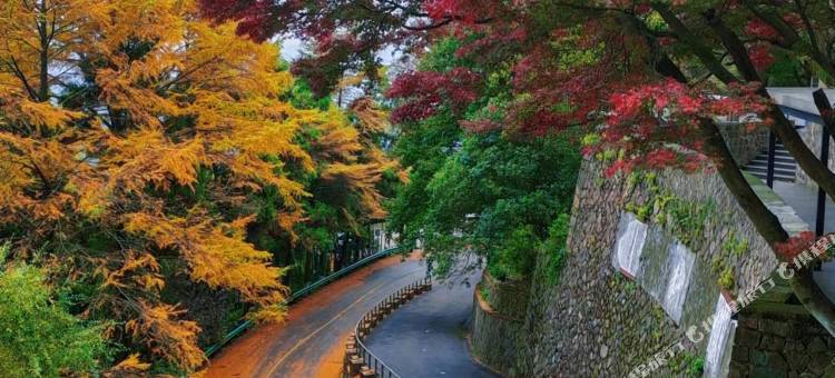 莫干山天籁之梦日出度假酒店图片