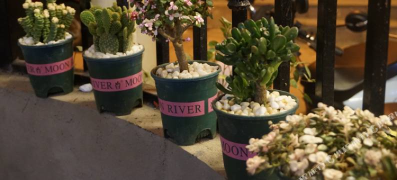 大理古城山海来信客栈(洱海门店)图片