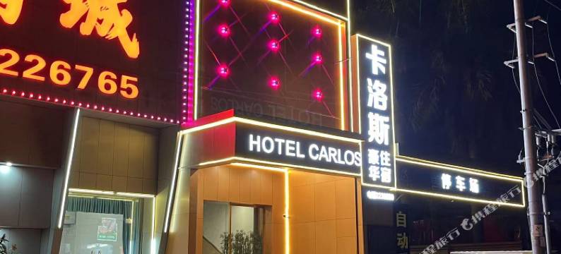 卡洛斯酒店(开平沙岗店)图片