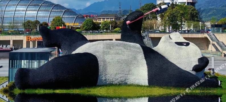 都江堰市栖林涧酒店图片