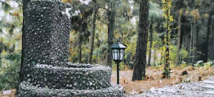 千天·松宿森林露营基地图片