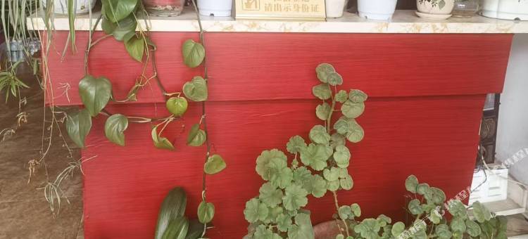 凤城市嘉和宾馆图片
