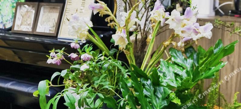 橙事小院民宿(莫干山国际旅游度假区店)图片