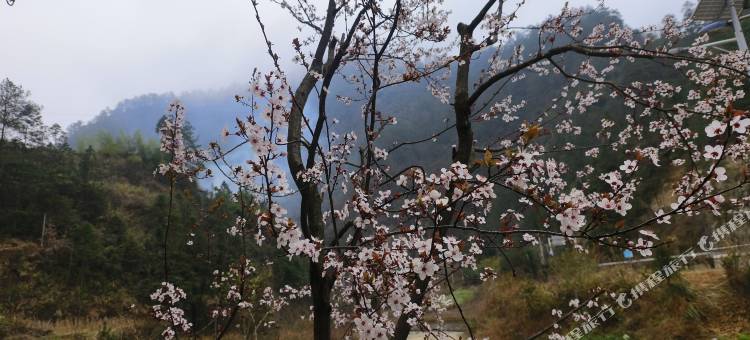 雷山朗德苗乡公馆图片