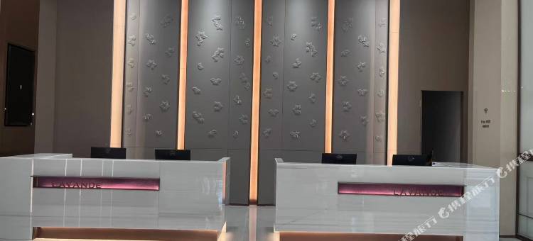 麗枫酒店(银川兰傒谷商务广场店)图片