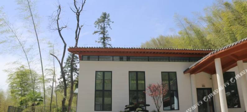 贵溪青茅境大酒店图片