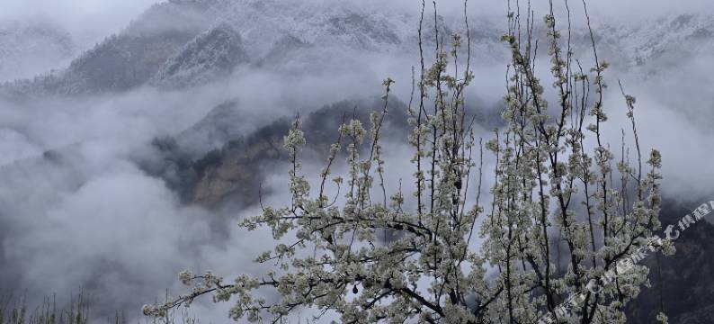 山的禅｜山的书房图片