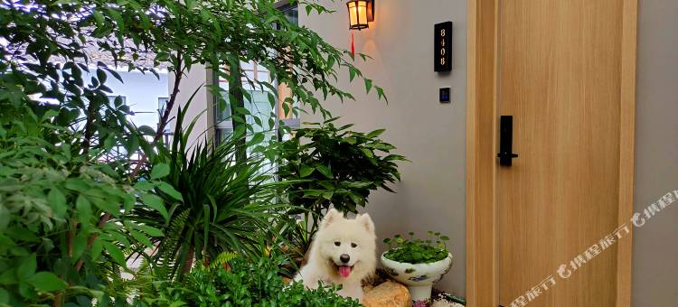君宜庭院酒店(张家界国家森林公园店)图片