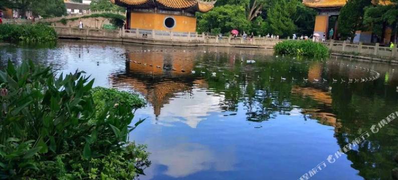 普陀山涵舍民宿(普济寺店)图片