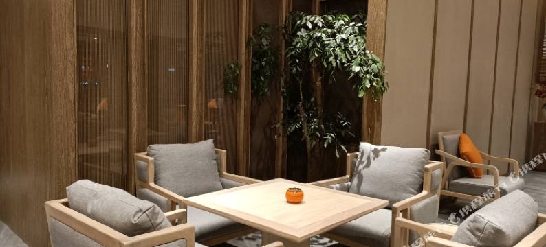 绵阳艾迪尔酒店(南郊机场路口店)图片