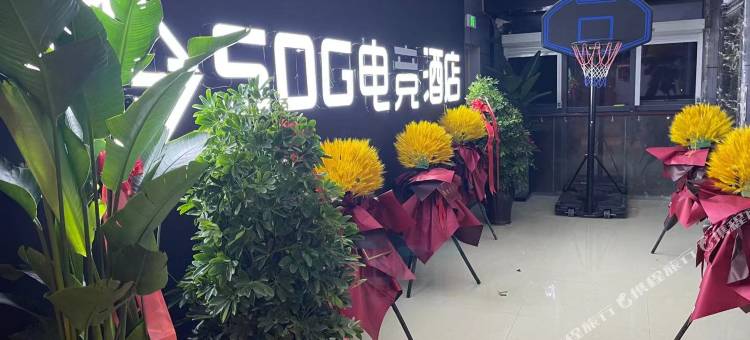SOG电竞酒店(三台山店)图片