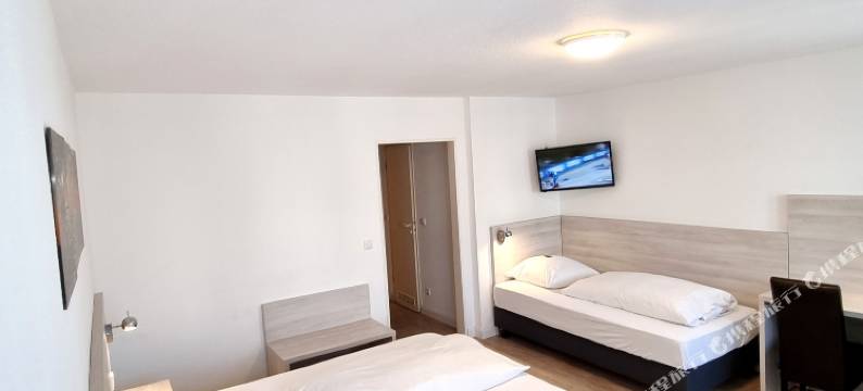 法兰克福埃德尔酒店(Adler Hotel Frankfurt)图片