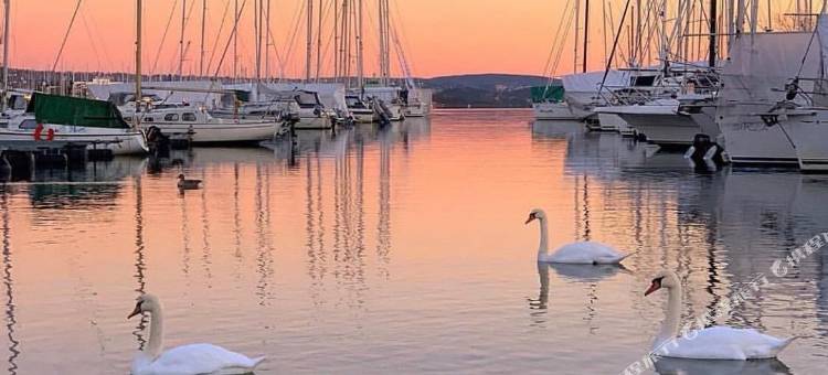 奥斯陆一千禧酒店(First Hotel Millennium)图片