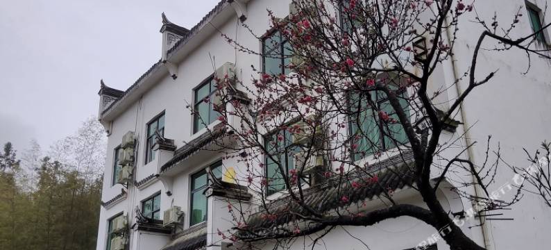 一览花海民宿(婺源思溪延村店)图片