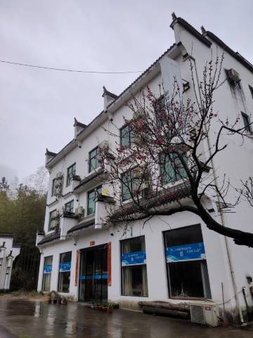 一览花海民宿(婺源思溪延村店)