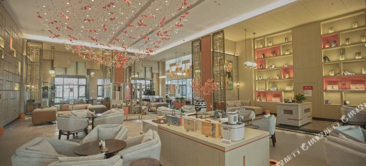 禧年美居·领域大酒店(丹棱大雅堂药科学院店)图片