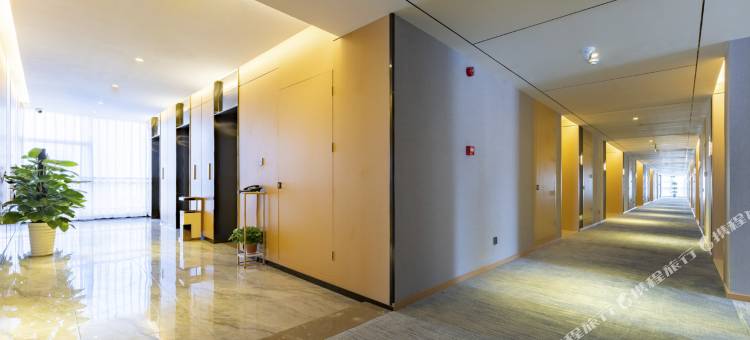 白玉兰酒店(金乡金都购物广场奎星路店)图片