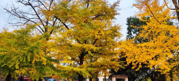 长兴乡遇民宿图片