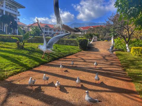 云南滇池温泉花园国际大酒店图片