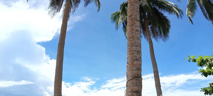 迪高岛度假村(Ticao Island Resort)图片