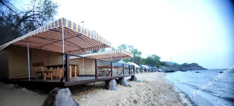 大连尊王·海宿图片