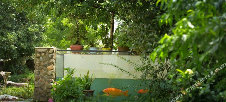 金谷春・溪畔环山・StarryNight・草坪美宿(皖南川藏线月亮湾景区店)图片