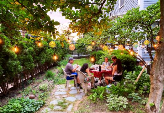 Ginkgo House On HarvardHotel Overview