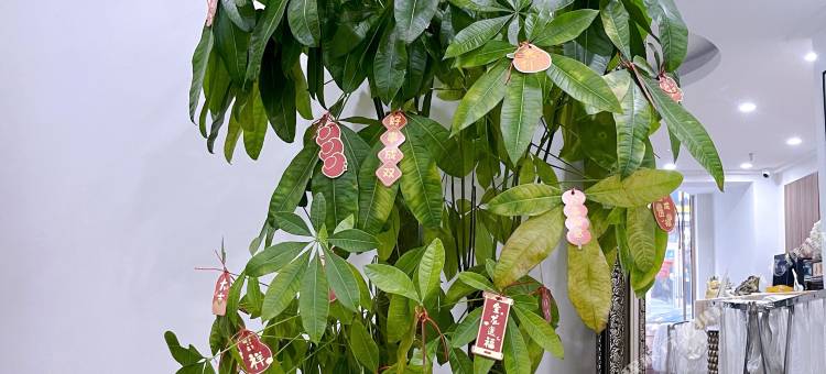 中元商务宾馆(长春火车站店)图片