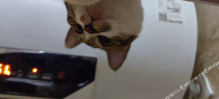 千屿绿岛青年旅舍(大同火车站店)图片