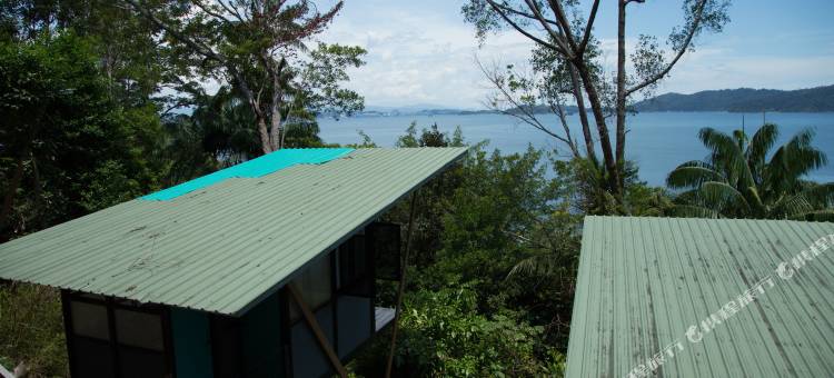 OYO 90980彩虹岛士邦加(OYO 90980 Rainbow Island Sepanggar)图片