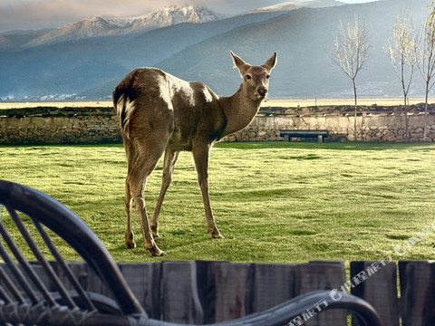 香格里拉锦瑟·在野院·畔海牧场EVEREST POINT