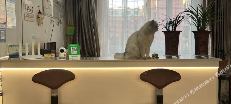 葫芦岛嘉合客栈图片