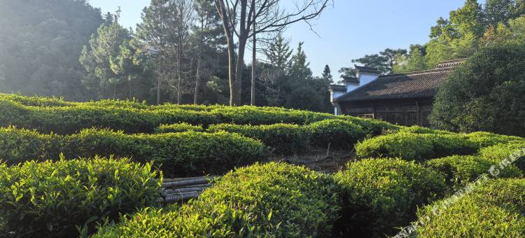 浮梁瑶里璞云居民宿图片