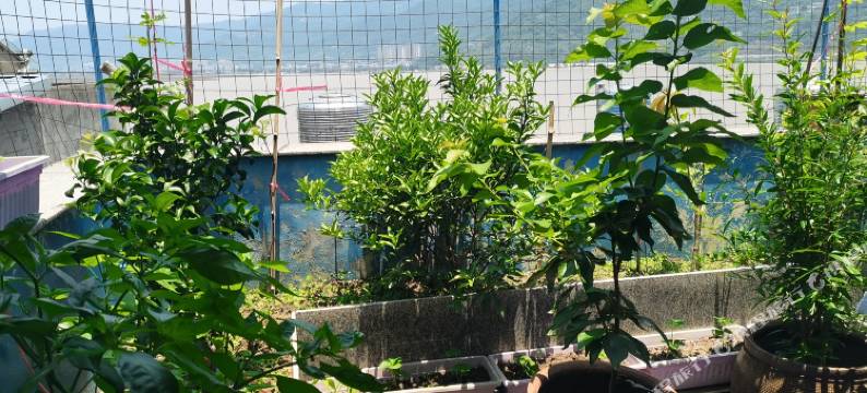 霞浦北岐摄影民宿图片