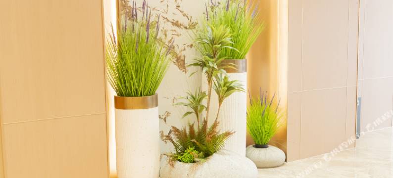 清远清城站顺盈时代广场枫度酒店图片