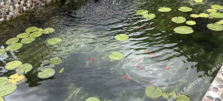 如山如宿民宿(山湾湾漂流雅鲁漂流店)图片