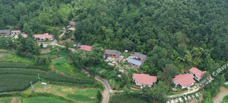 自在小院冬青民宿图片