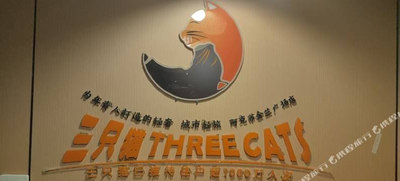 三只猫青年旅社(阿克苏金兰广场店)图片