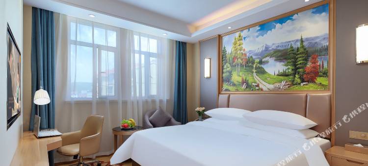 维也纳国际饭店(合作香巴拉广场店)图片