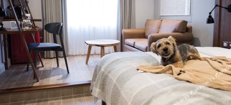 北湖Spa酒店(North Lakes Hotel and Spa)图片