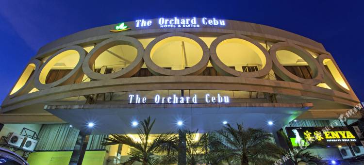 宿务果园酒店及套房-由Cocotel提供支持(The Orchard Cebu Hotel & Suites powered by Cocotel)图片