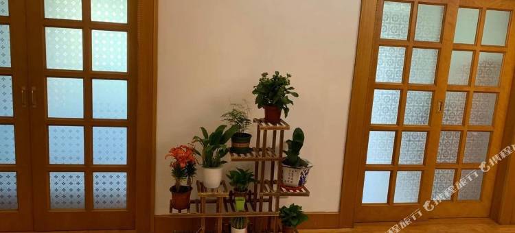 823崇明店公寓(新中路分店)图片